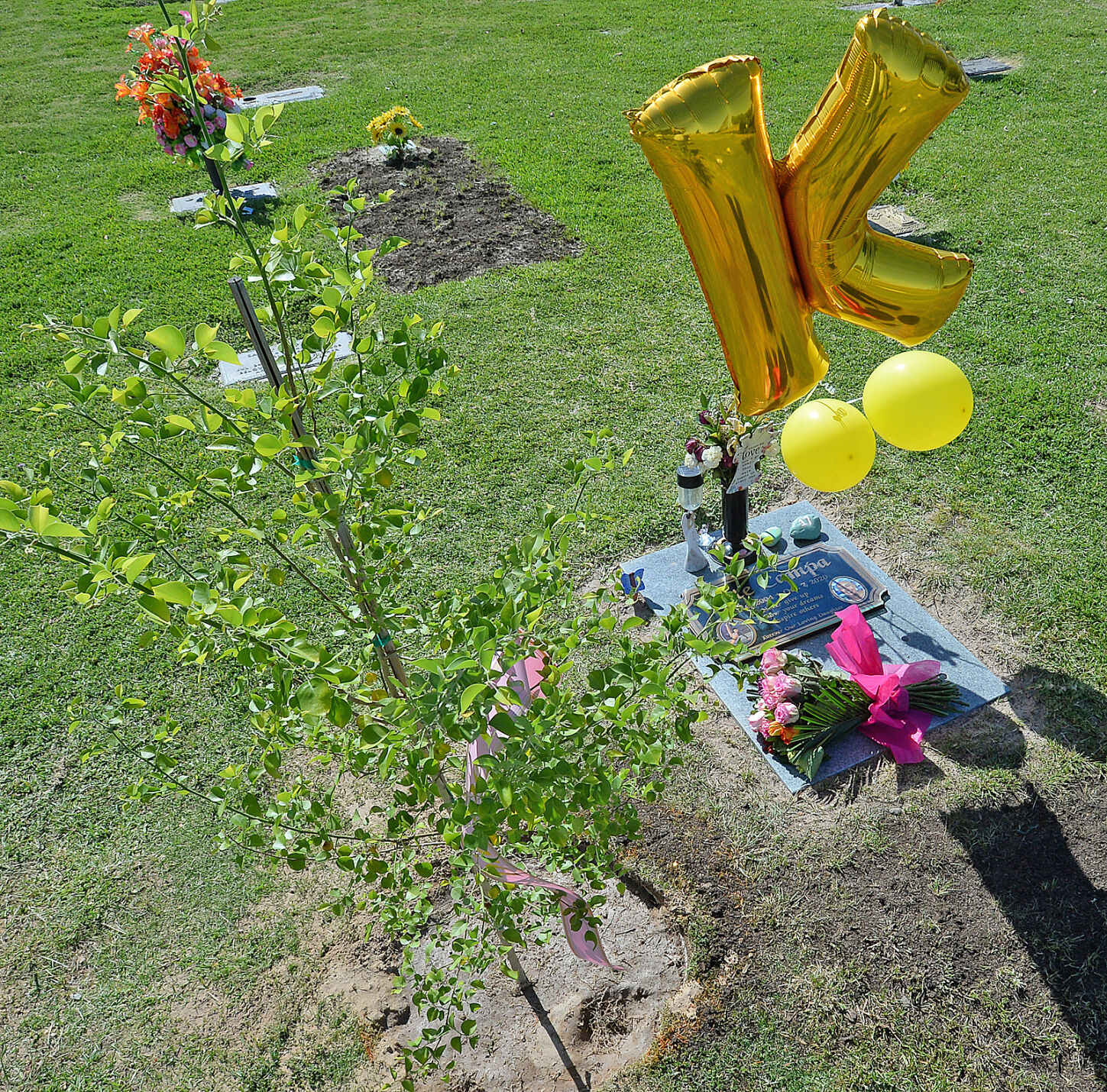 Kate’s tree